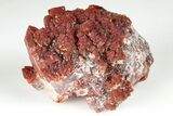 2.2" Natural Red Quartz Crystal Cluster - Morocco - #199081-1